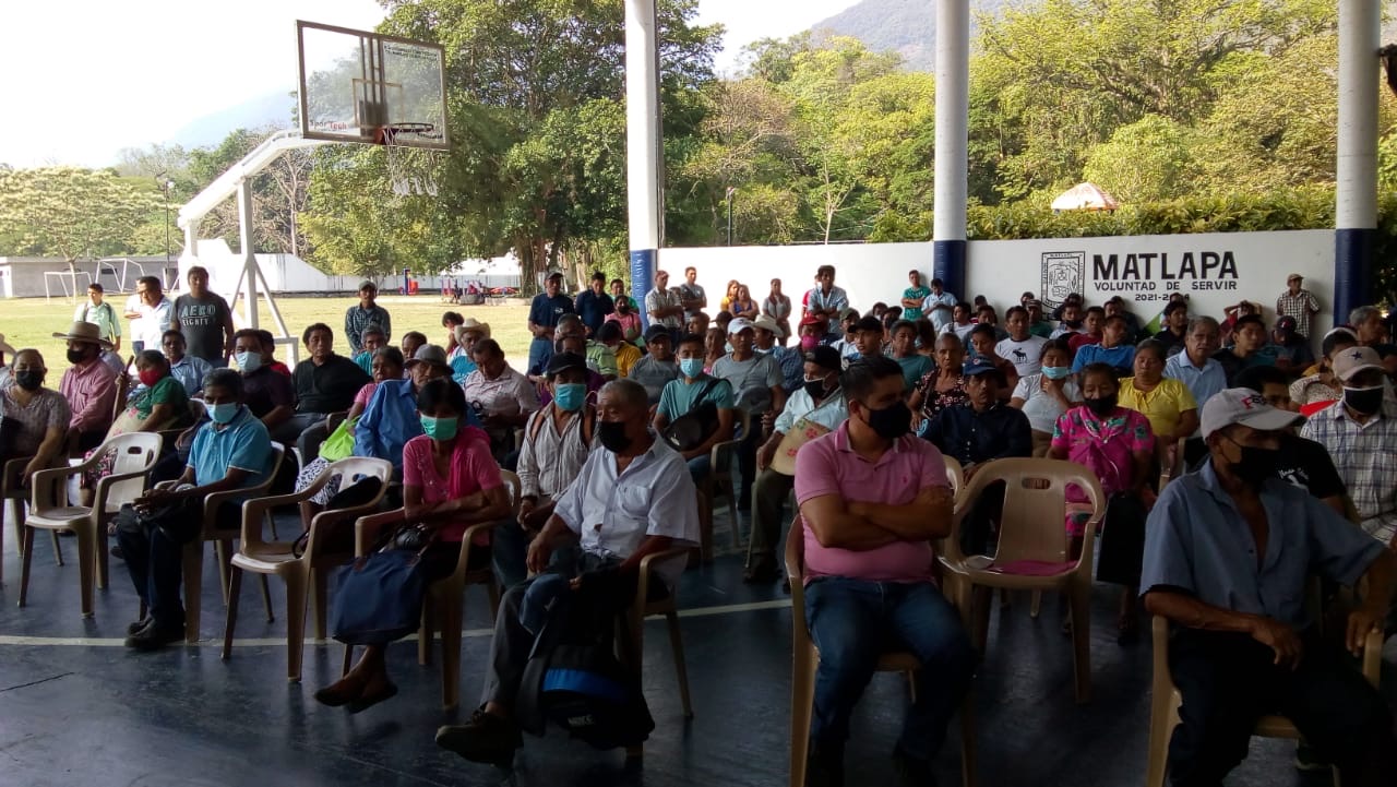 Consulta Asamblea 