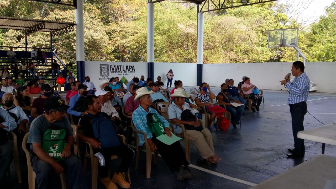 Consulta Asamblea 