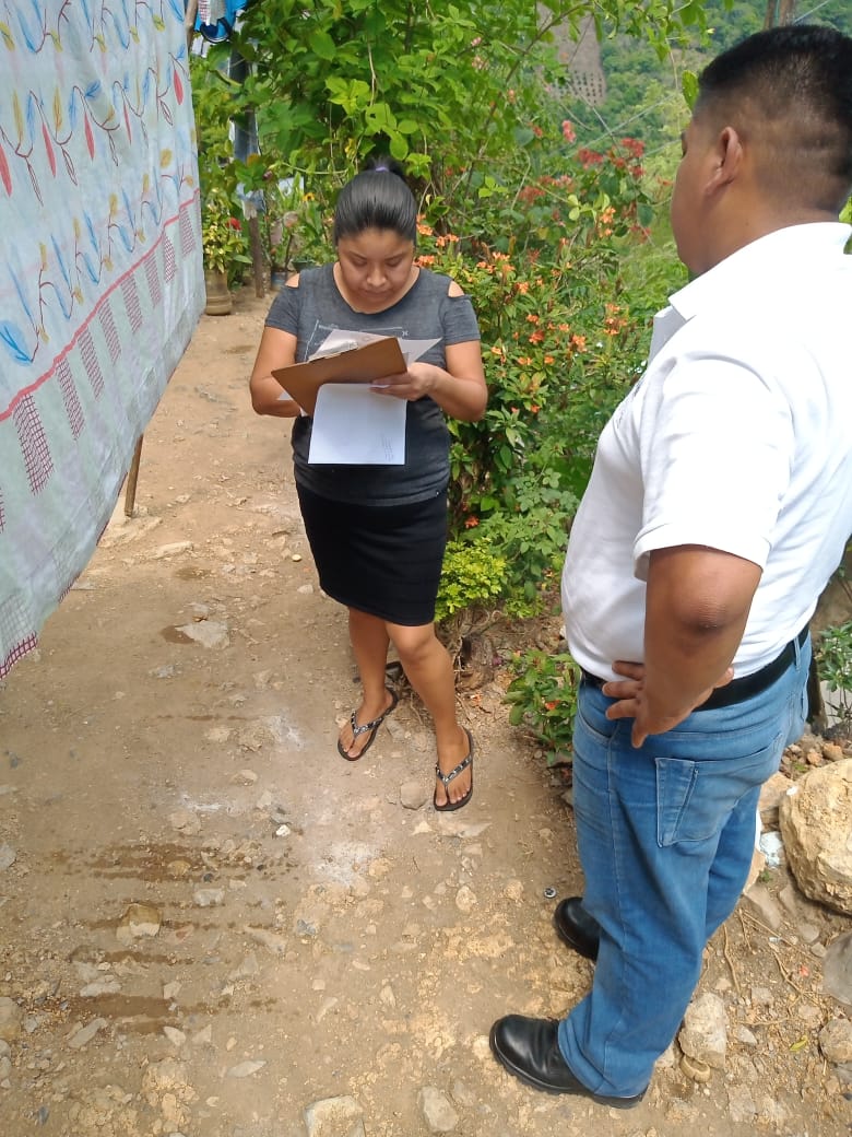 Proceso de Consulta 