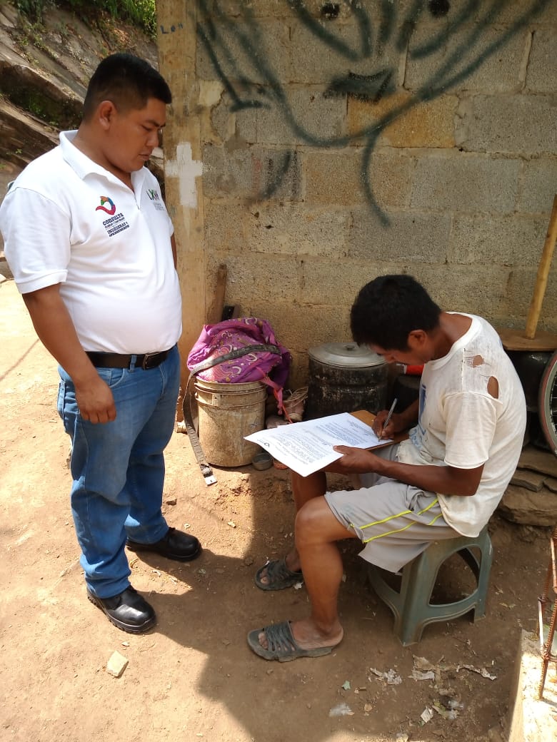 Proceso de Consulta 