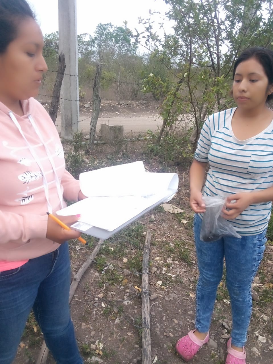 Proceso de Consulta 